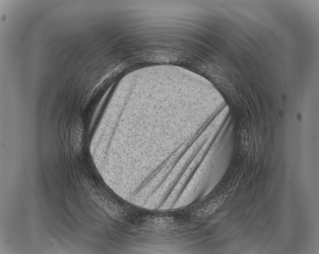 X0000087050304200705091142