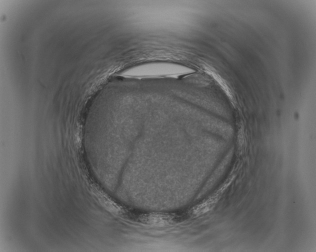 X0000087050305200705091142