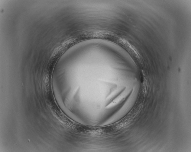 X0000087050306200705091142