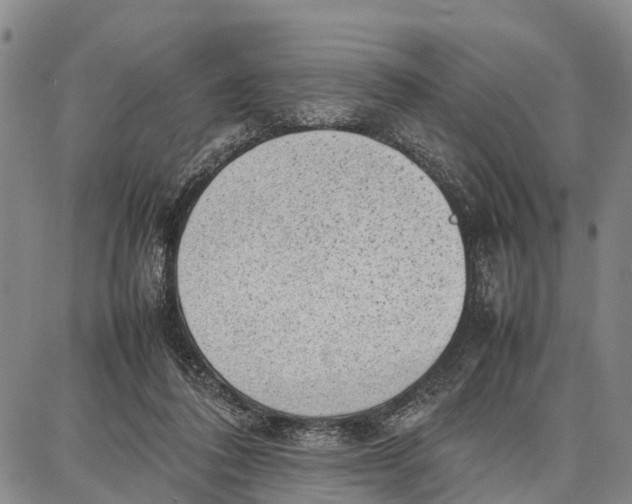 X0000087050308200705091142