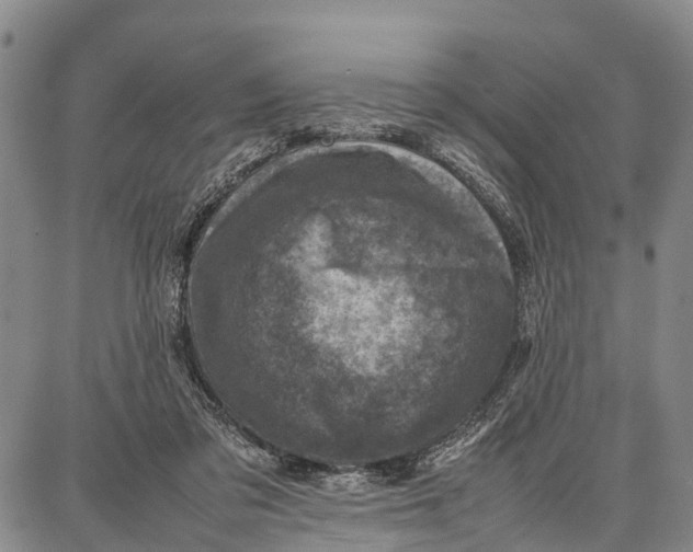 X0000087050309200705091142