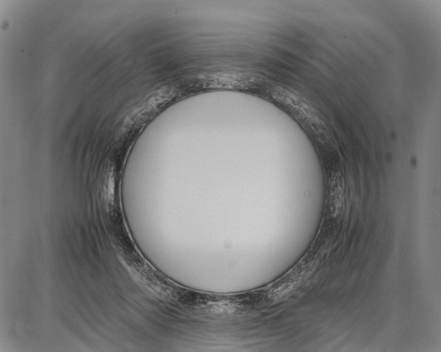 X0000087050310200705091142