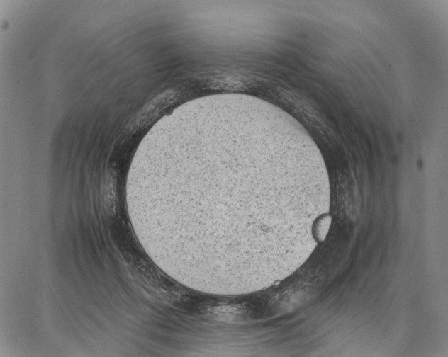 X0000087050312200705091142