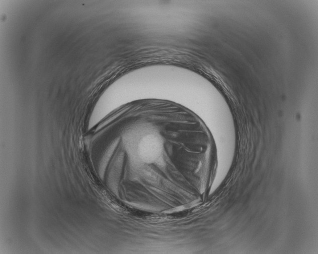 X0000087050313200705091142