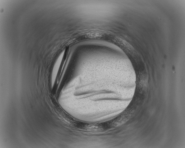 X0000087050315200705091142