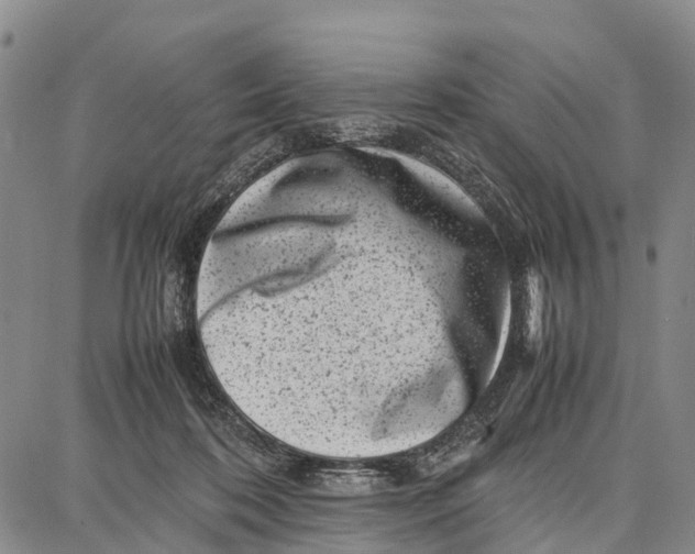 X0000087050316200705091142