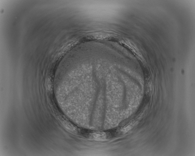 X0000087050317200705091142