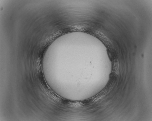 X0000087050318200705091142