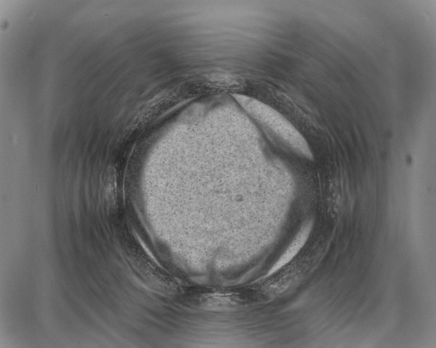 X0000087050320200705091142