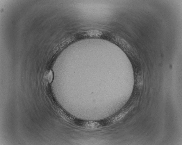 X0000087050321200705091142