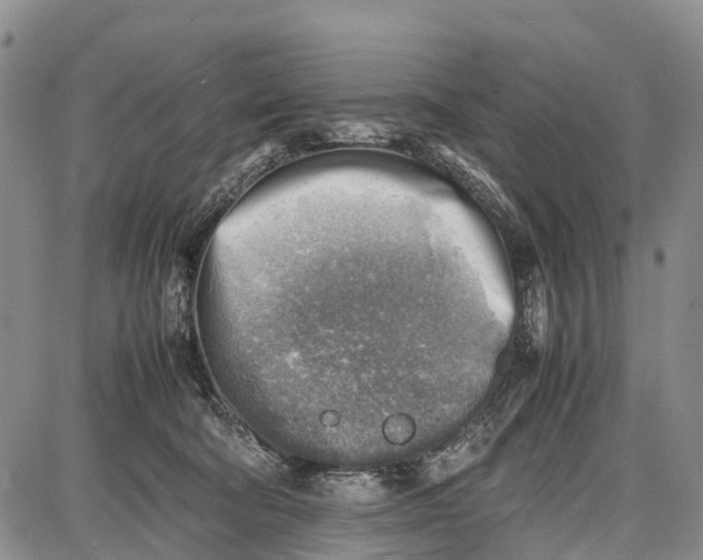 X0000087050322200705091142