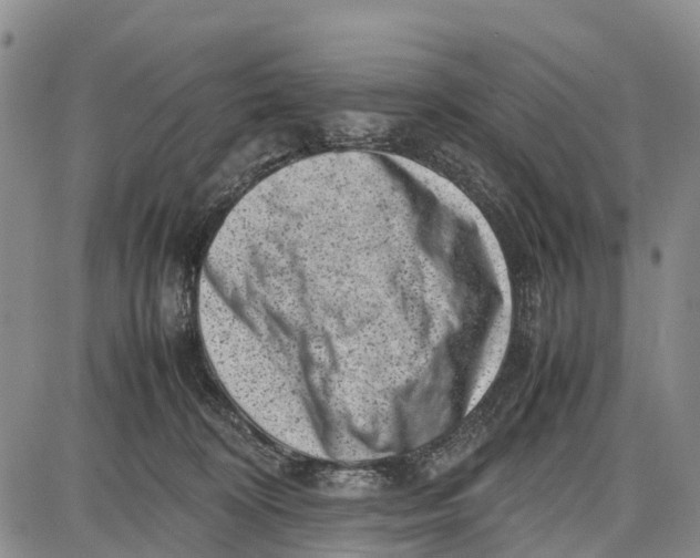 X0000087050324200705091142