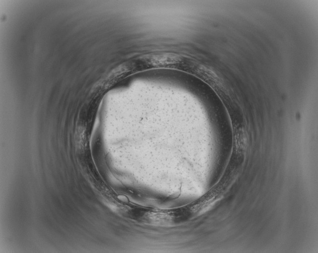 X0000087050327200705091142