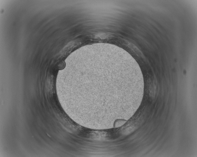 X0000087050328200705091142