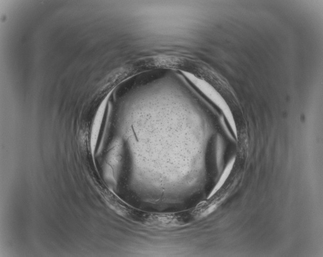 X0000087050329200705091142