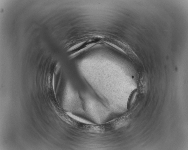 X0000087050330200705091142