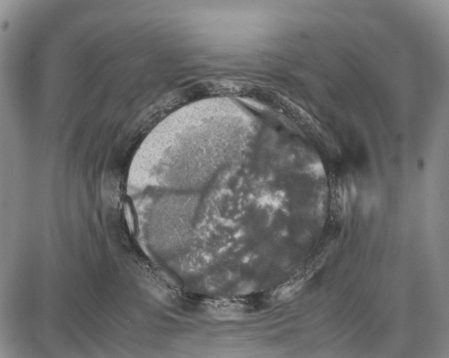 X0000087050331200705091142