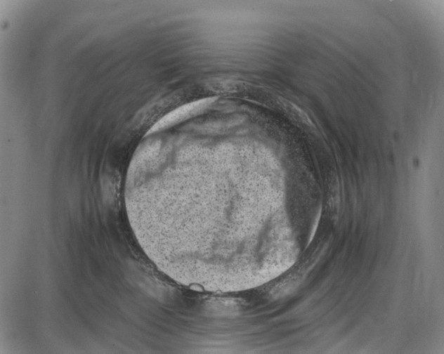 X0000087050332200705091142