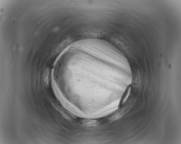 X0000087050334200705091142