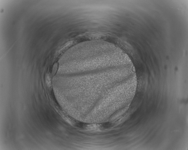 X0000087050335200705091142