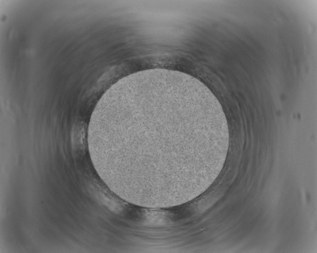 X0000087050336200705091142