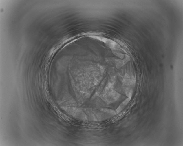 X0000087050337200705091141