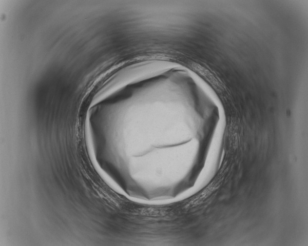 X0000087050338200705091141