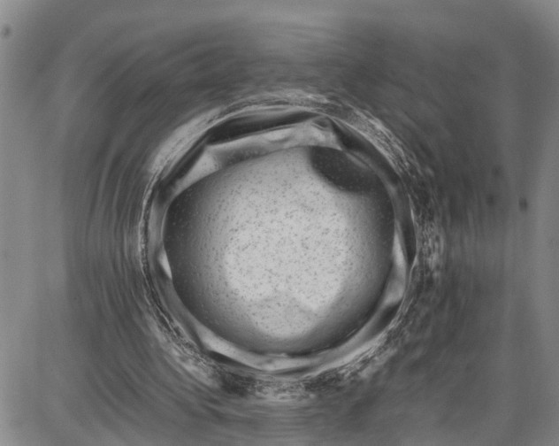 X0000087050340200705091141