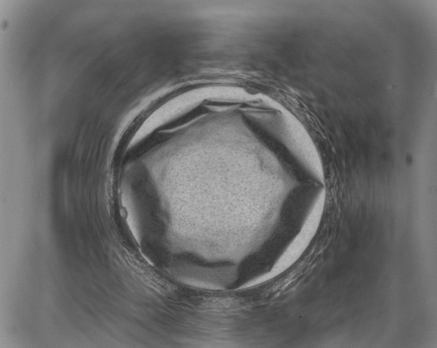 X0000087050342200705091141