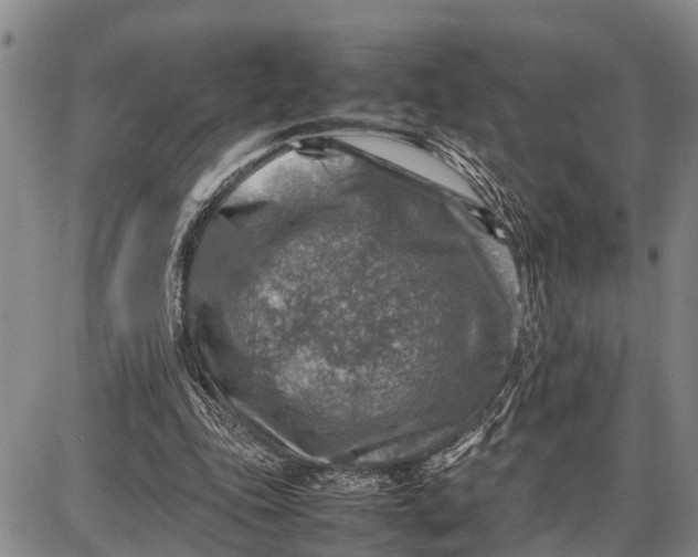 X0000087050343200705091141