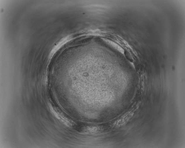 X0000087050344200705091141