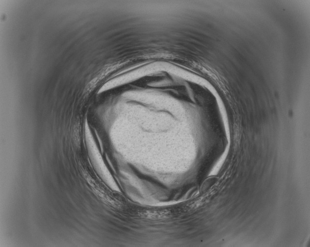 X0000087050345200705091141