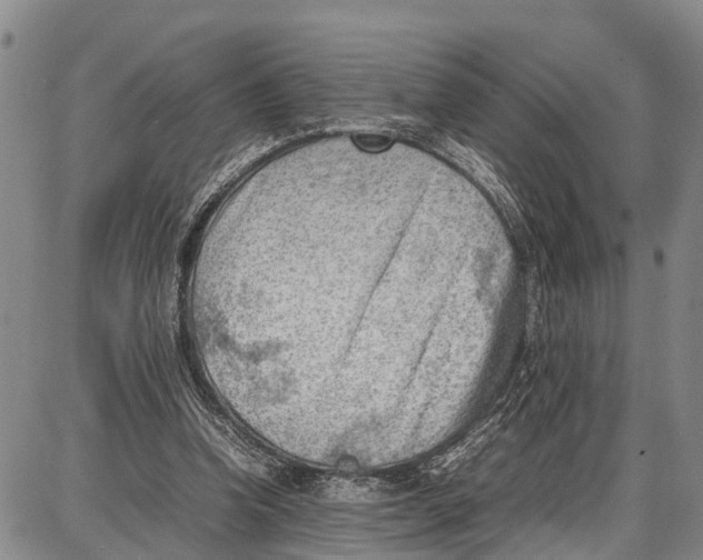 X0000087050346200705091141