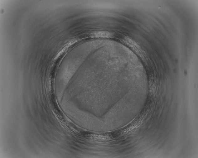 X0000087050347200705091141