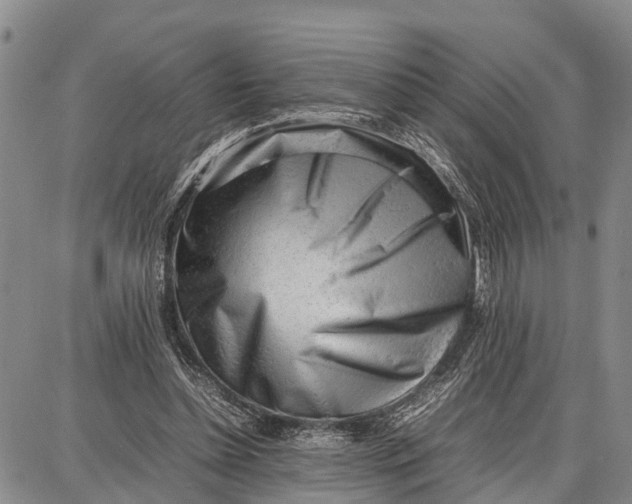 X0000087050348200705091141