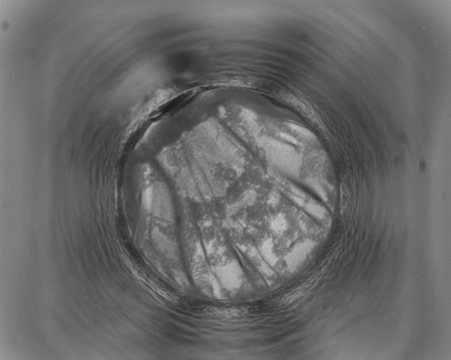 X0000087050349200705091141