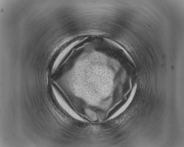 X0000087050350200705091141