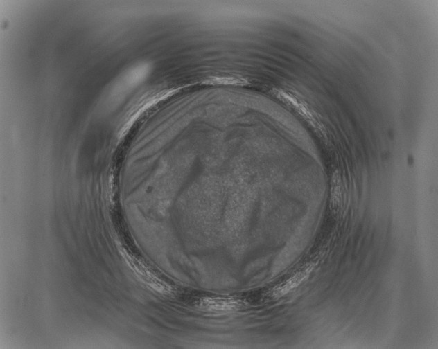 X0000087050351200705091141