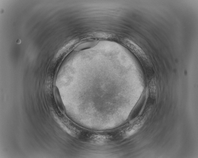 X0000087050352200705091141