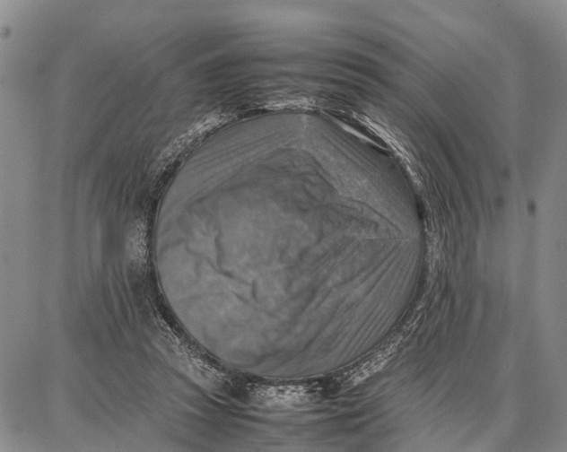 X0000087050353200705091141