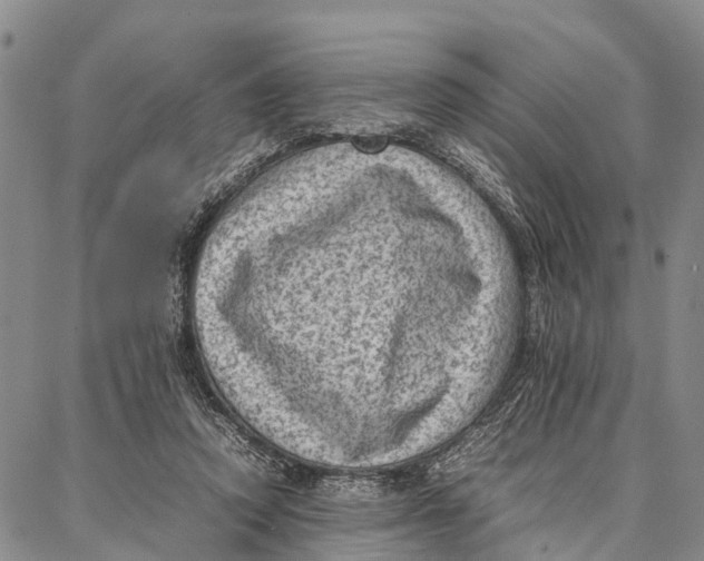 X0000087050354200705091141