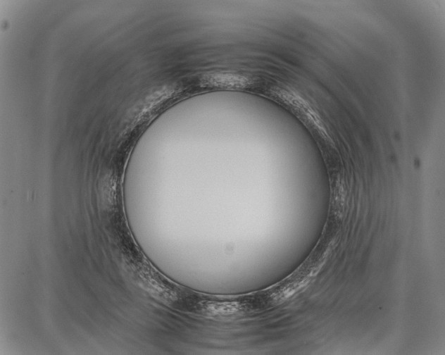 X0000087050355200705091141