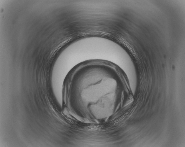 X0000087050356200705091141