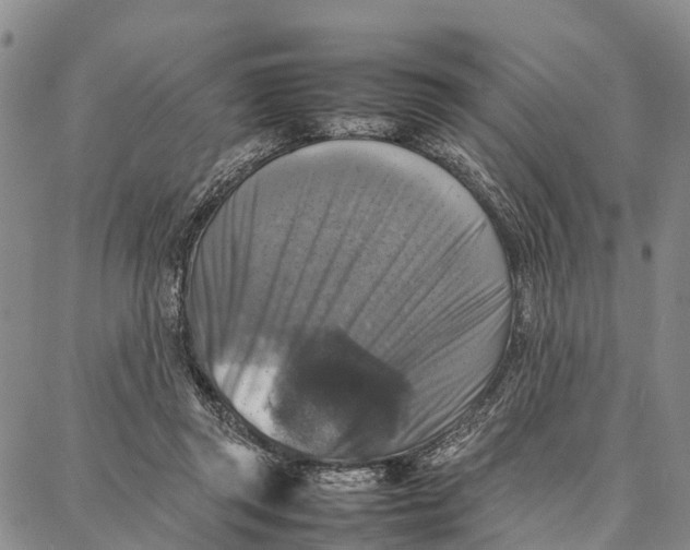 X0000087050357200705091141