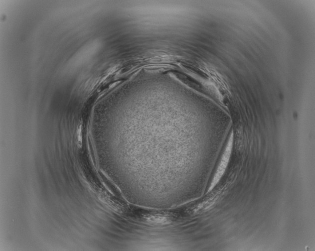 X0000087050358200705091141