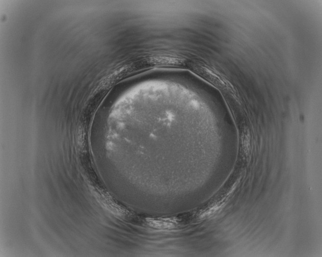 X0000087050359200705091141