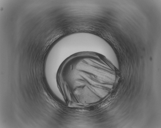 X0000087050360200705091141