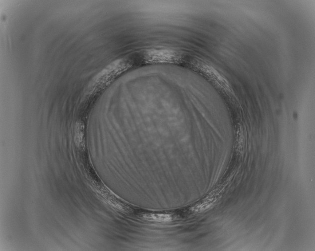 X0000087050361200705091141