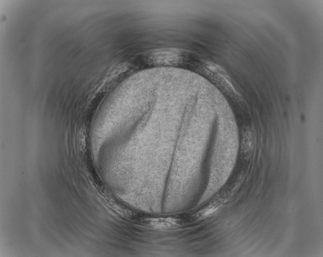 X0000087050363200705091141