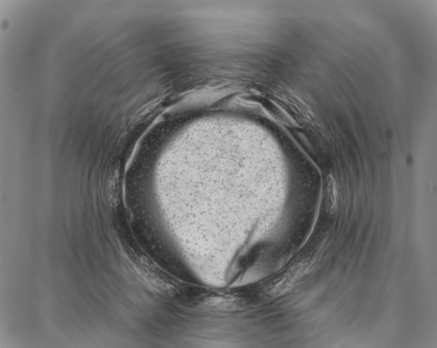 X0000087050364200705091141